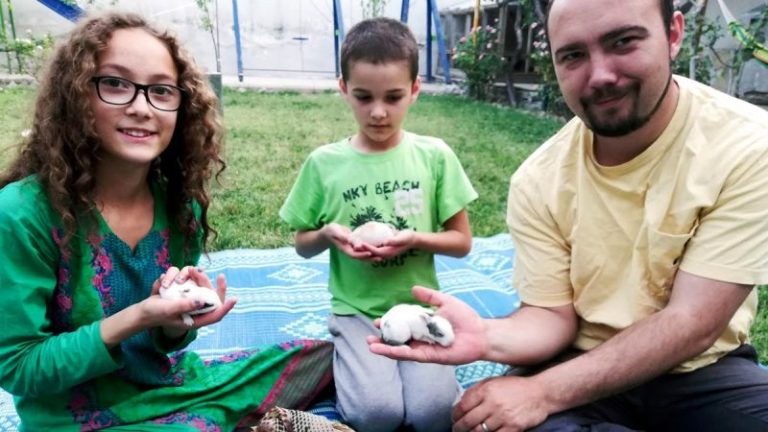 At least 26 American hostages released since Trump took office