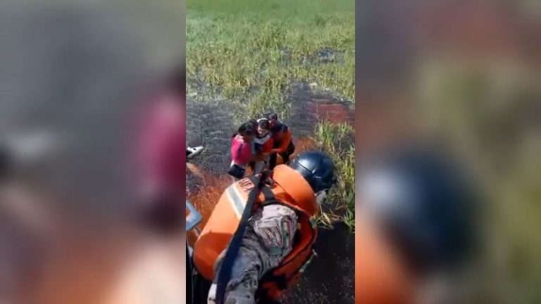 Five people rescued almost two days after plane crashes into alligator-infested swamp